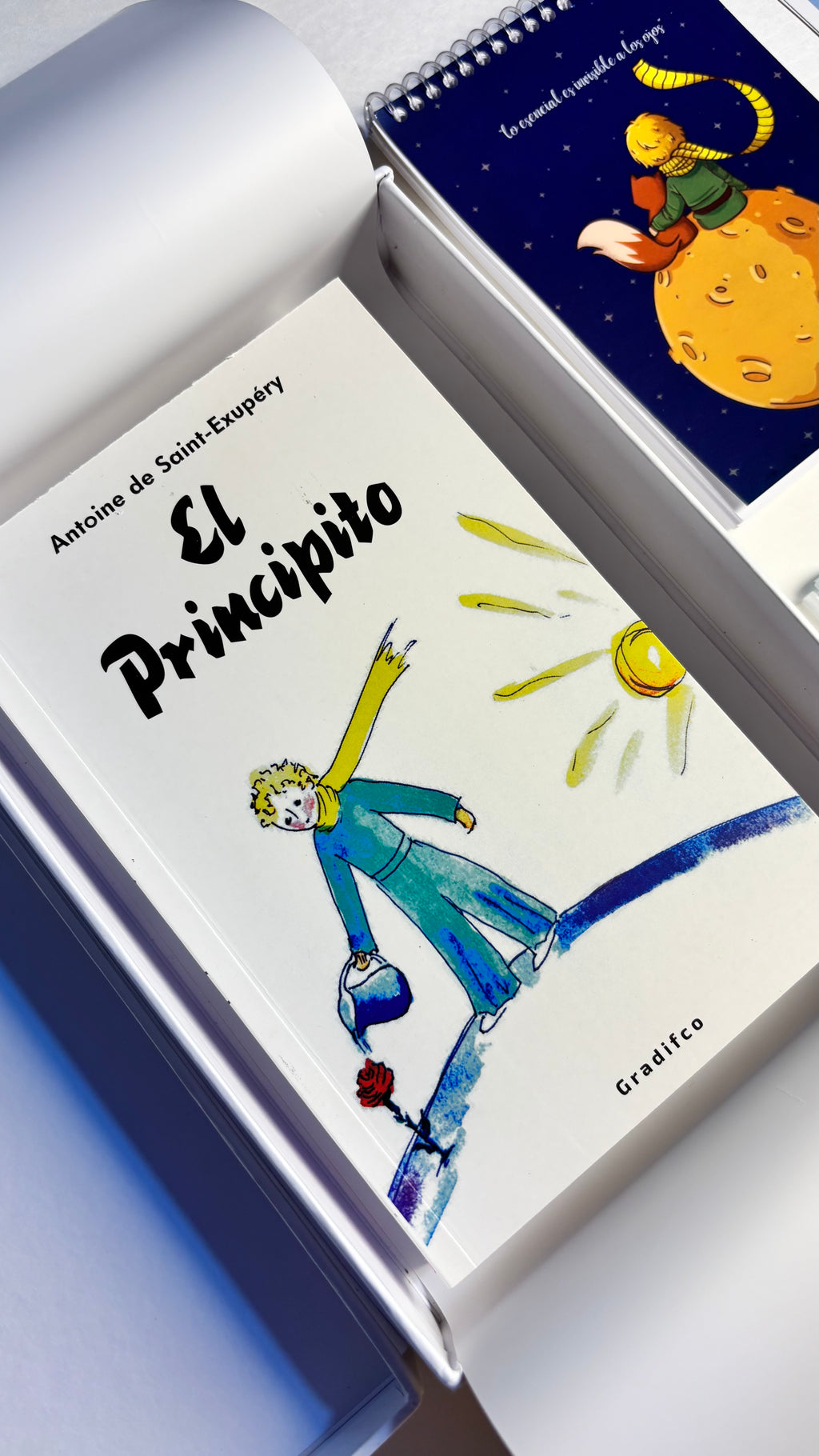 CAJA LITERARIA PREMIUM ARAMI