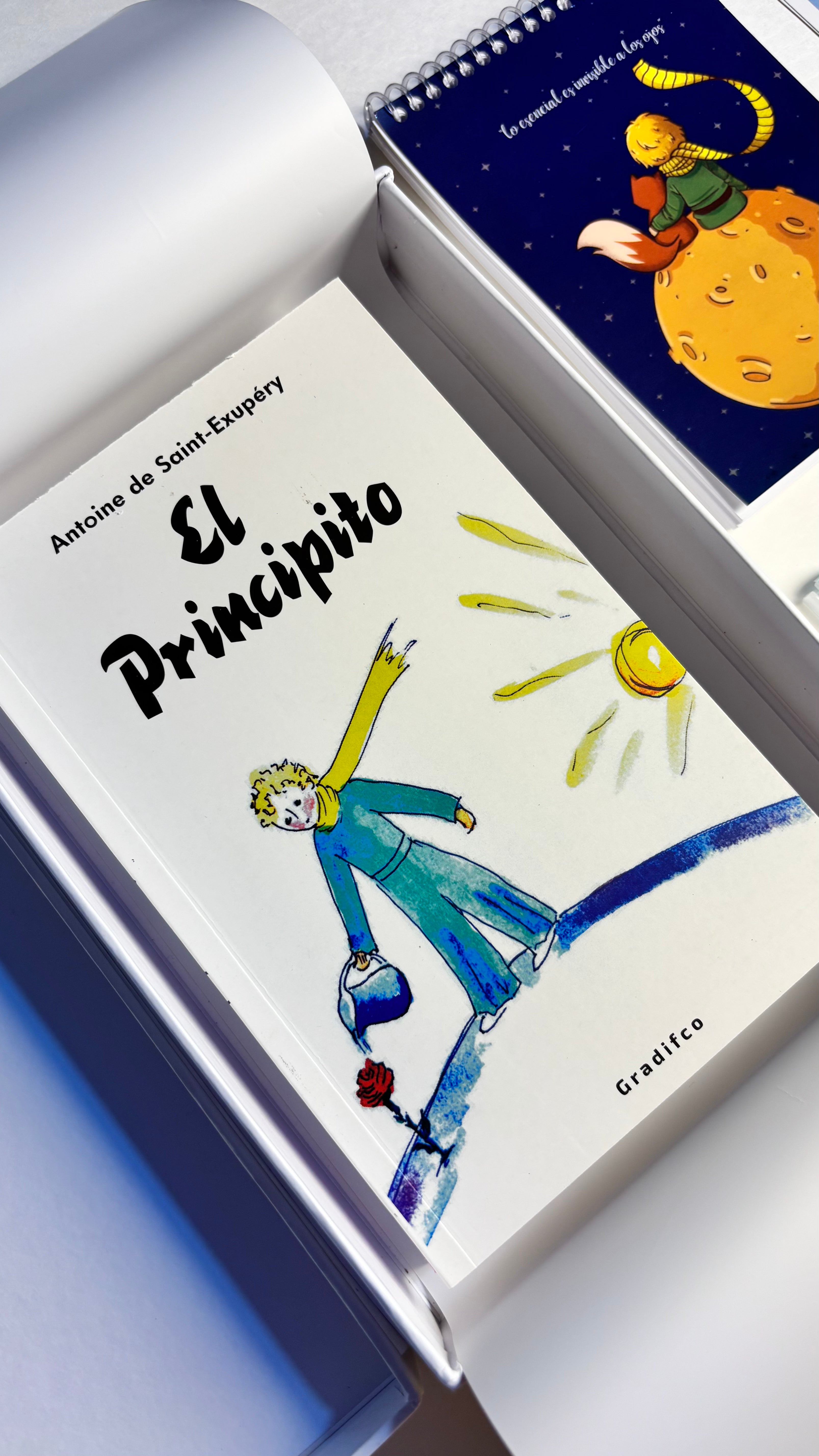 CAJA LITERARIA PREMIUM ARAMI