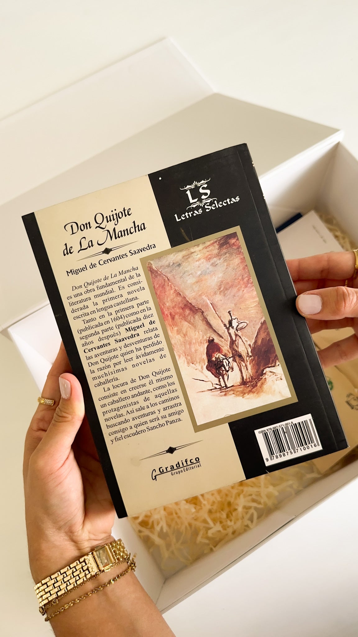 Don Quijote de la Mancha - Clásicos Pintados