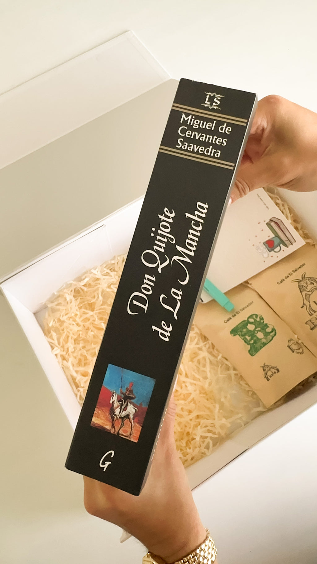 Don Quijote de la Mancha - Clásicos Pintados