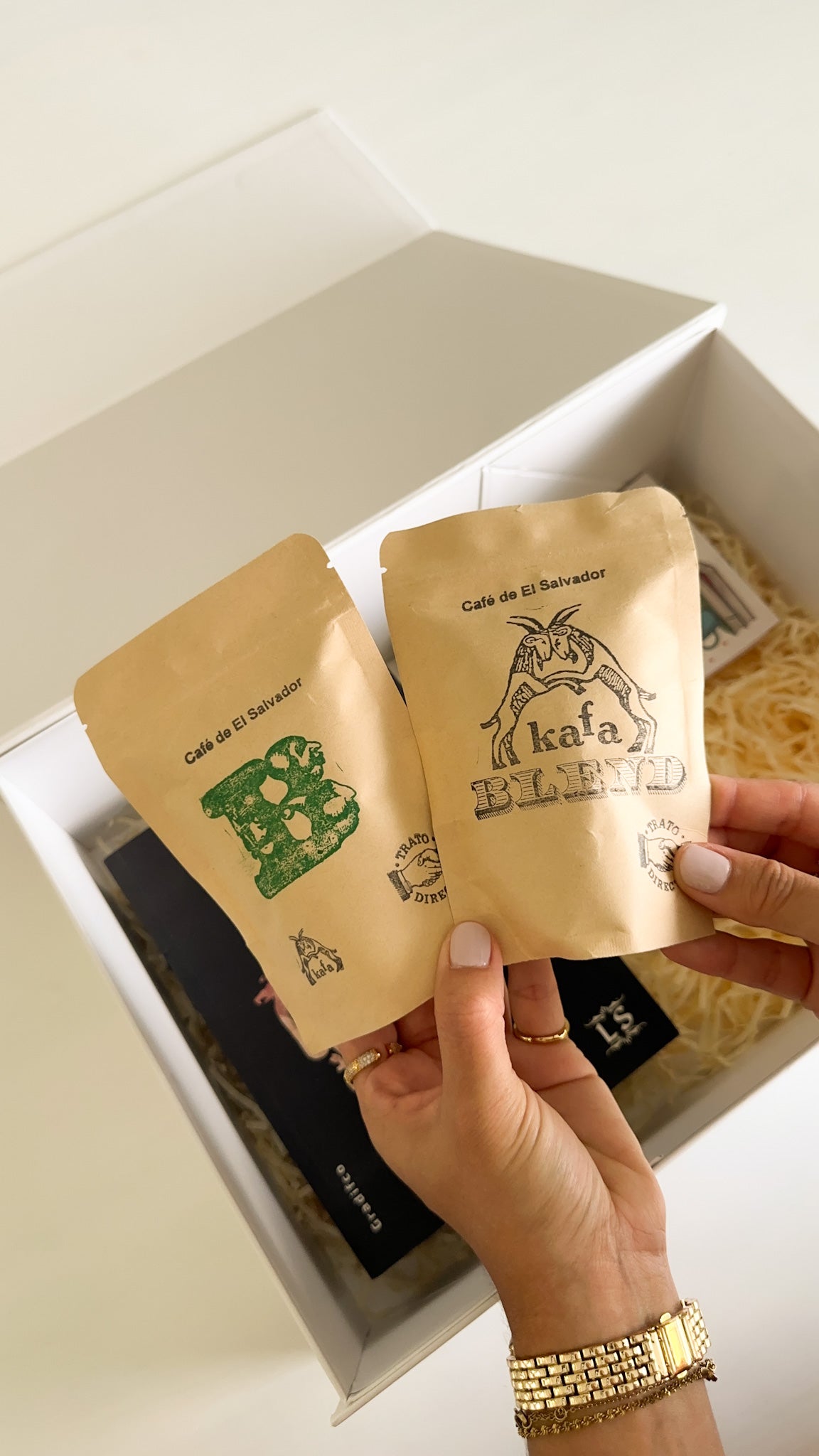 Julio Verne - Clásicos Pintados