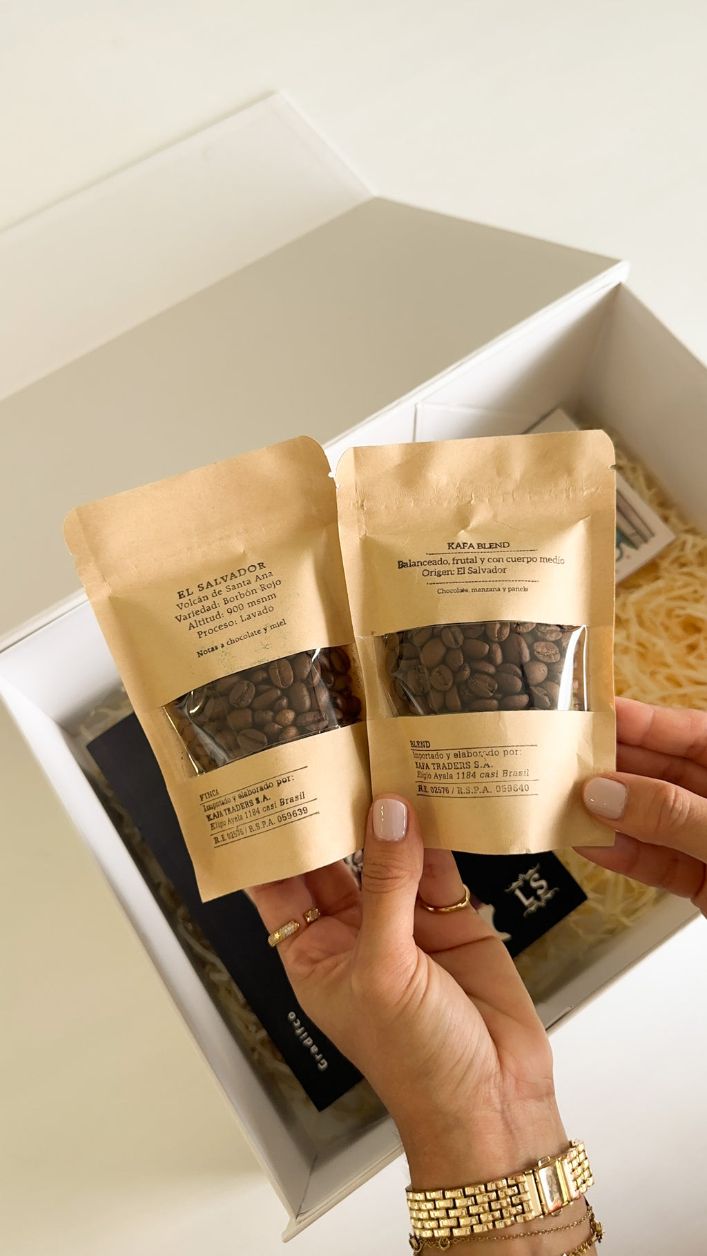 Don Quijote de la Mancha - Clásicos Pintados