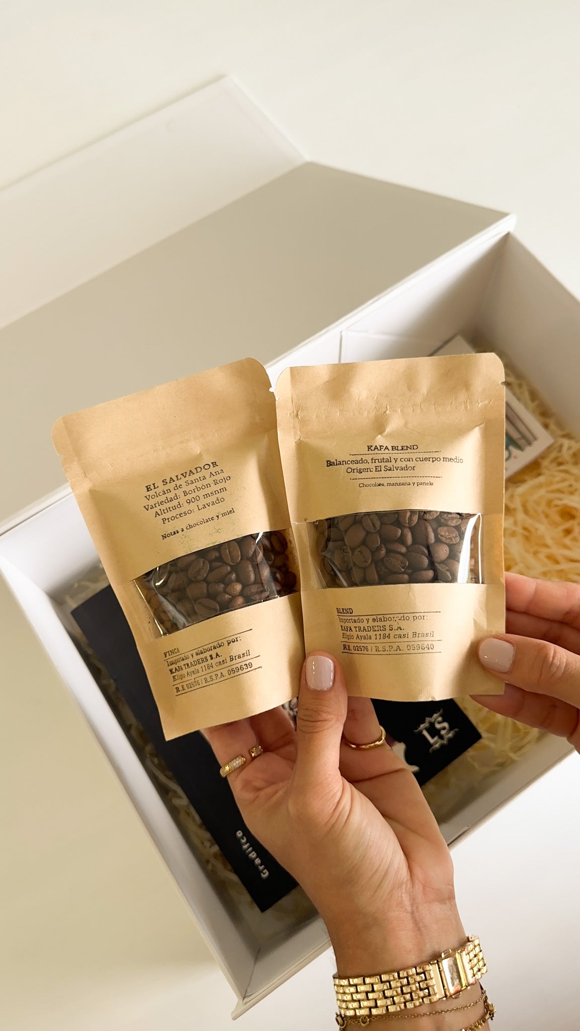 Don Quijote de la Mancha - Clásicos Pintados