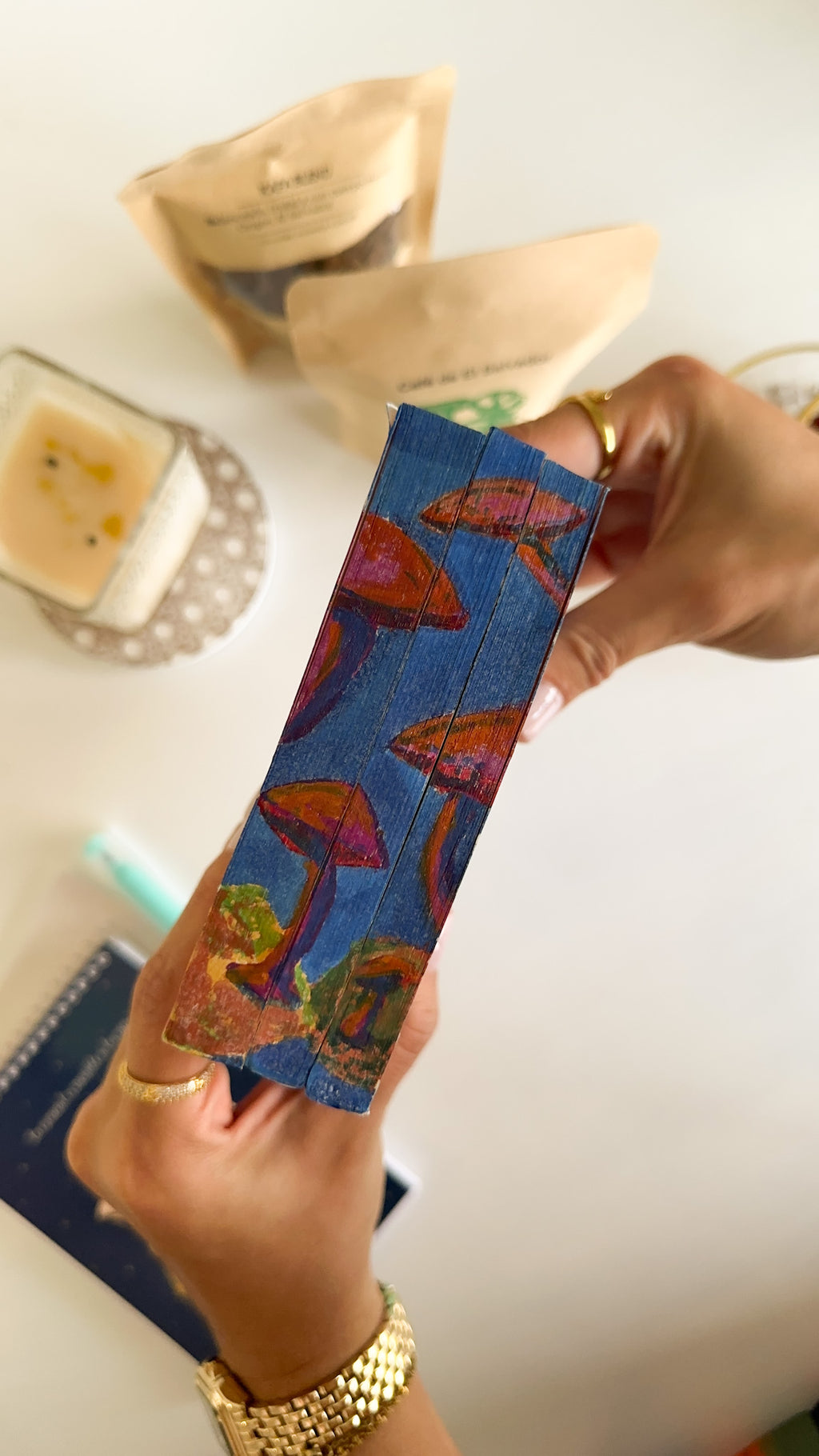 Julio Verne - Clásicos Pintados